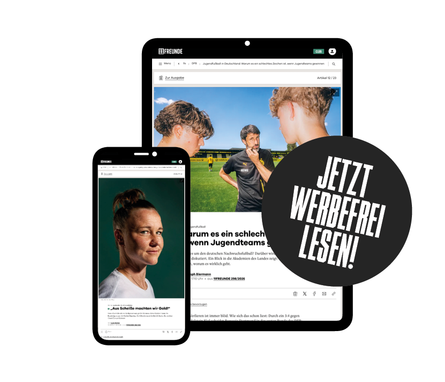 Werbefrei lesen