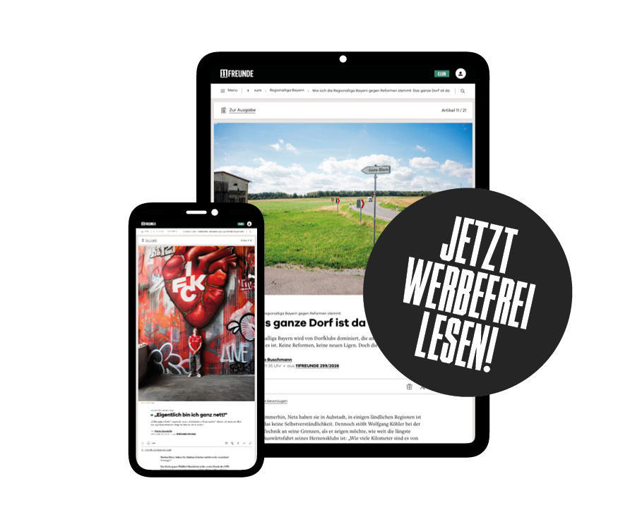 Werbefrei lesen