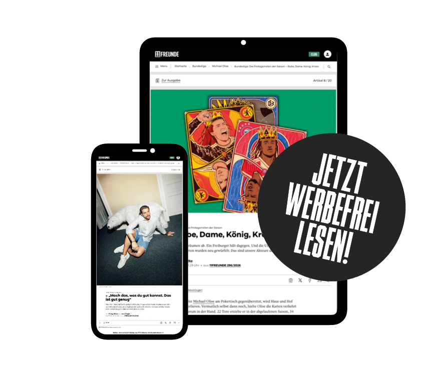 Werbefrei lesen