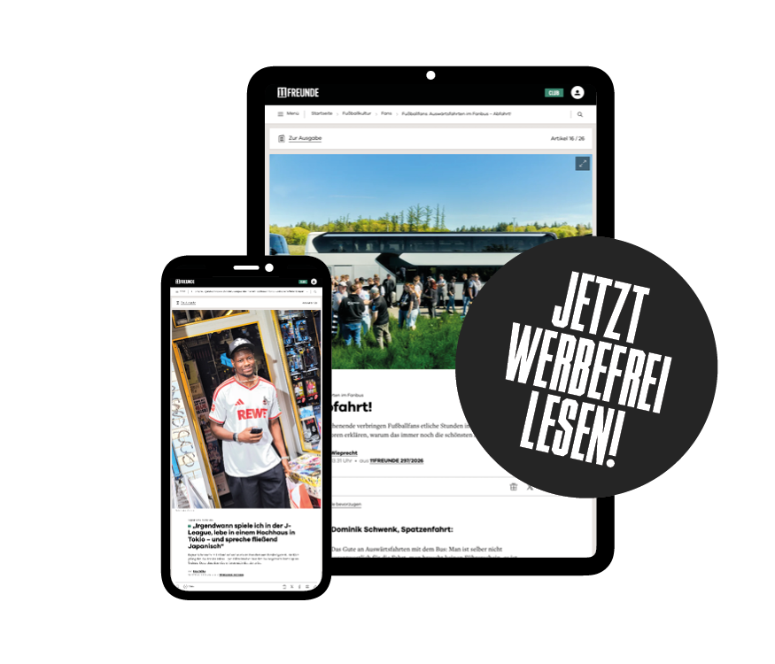 Werbefrei lesen