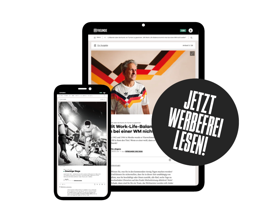 Werbefrei lesen